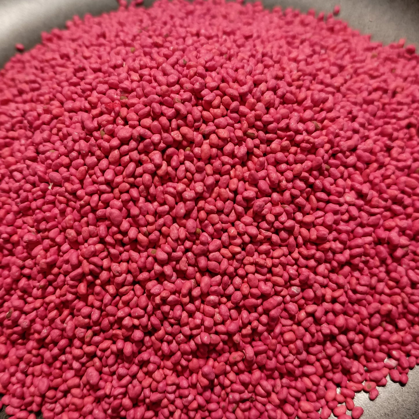 Close-up of pink seeds on a dark surface