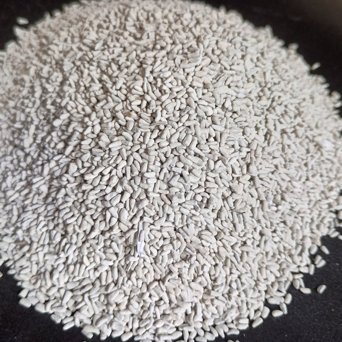 Close-up of white seeds on a black background