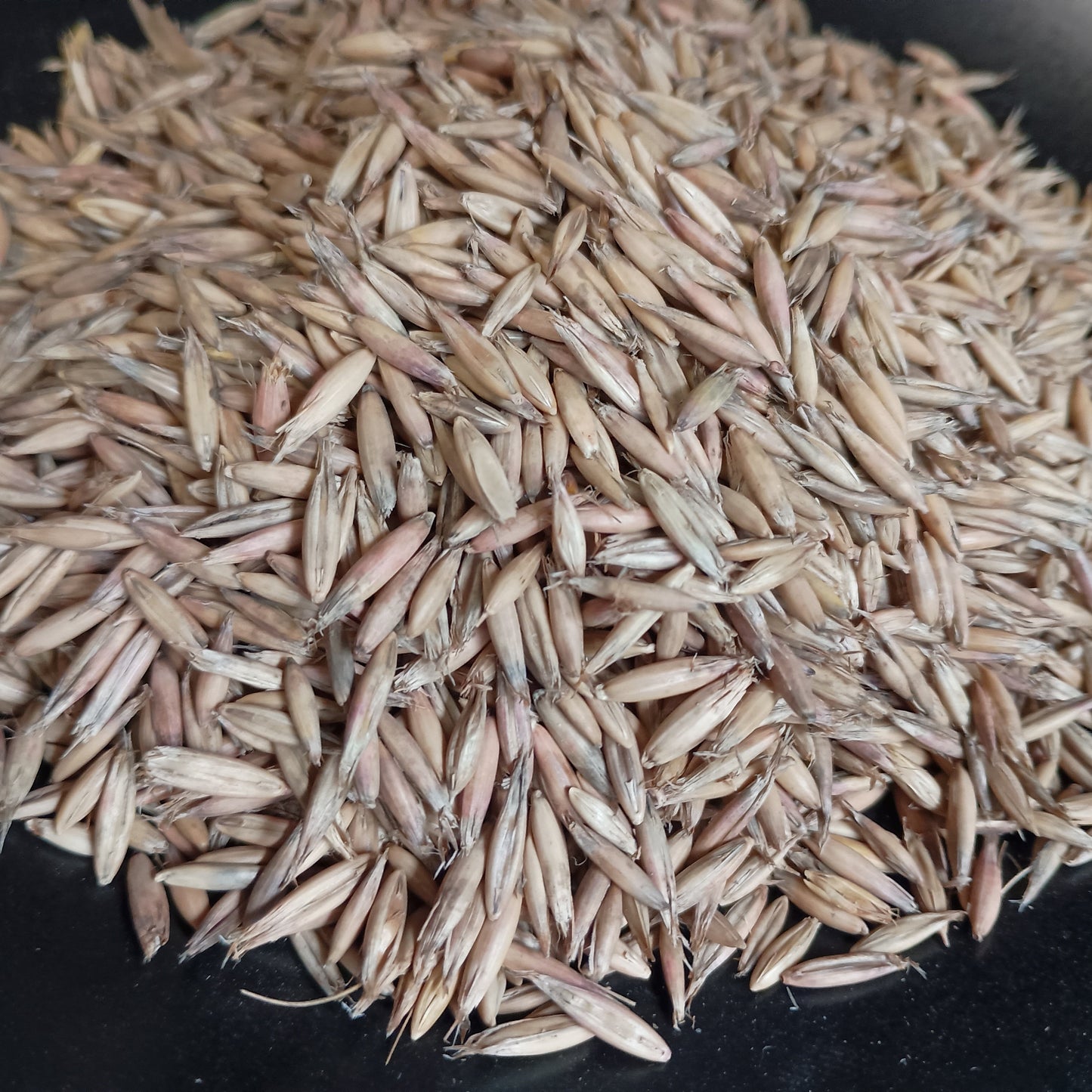 Close-up of a pile of dried seeds on a black background