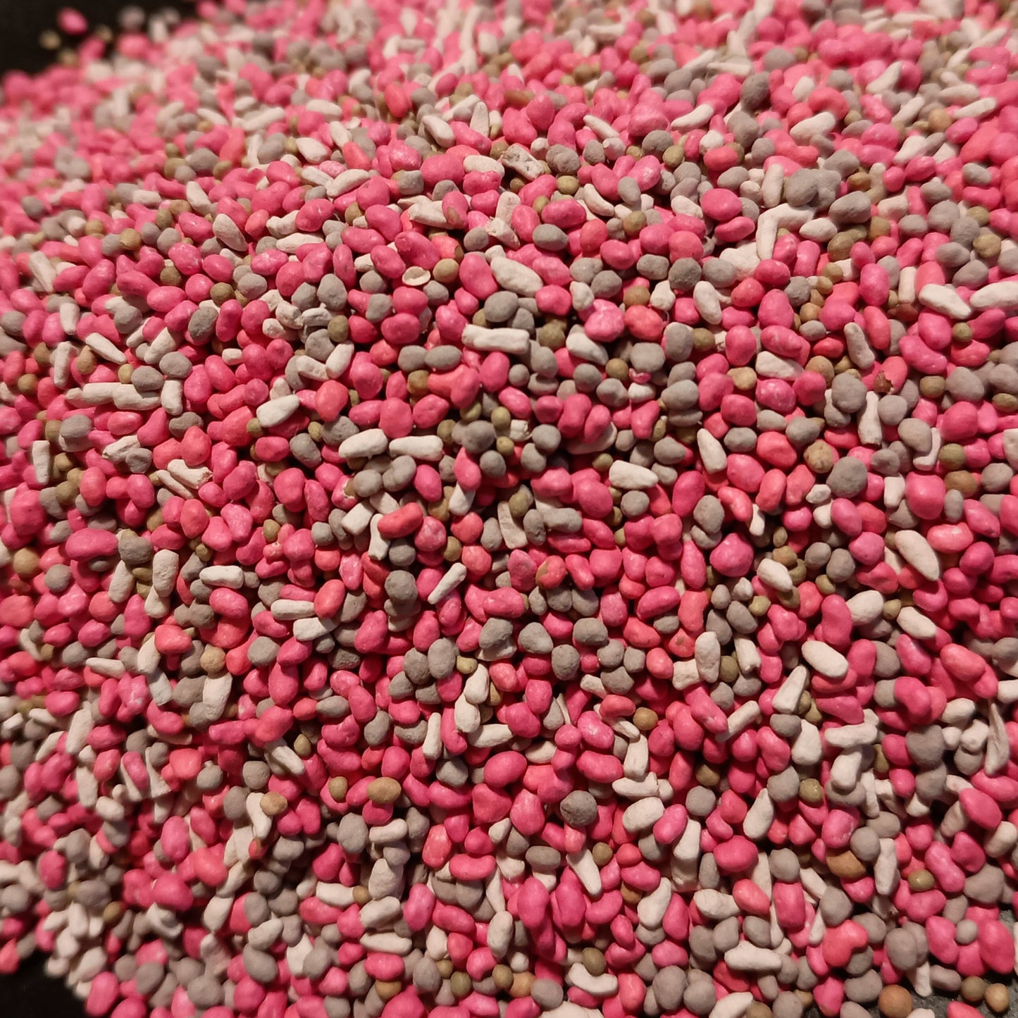 No-Till Food Perennial Food Plot Seed Mix – Chicory, Alfalfa & Clover