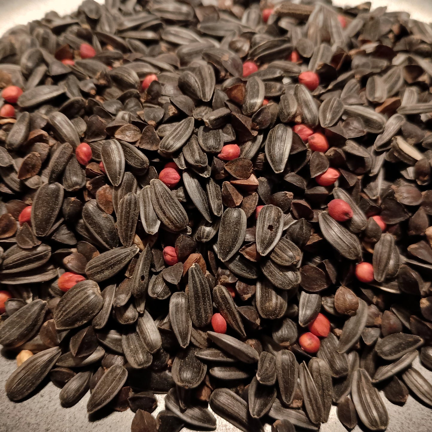 No-Till Food Plot Seed Mix – Sorghum, Sunflower & Buckwheat
