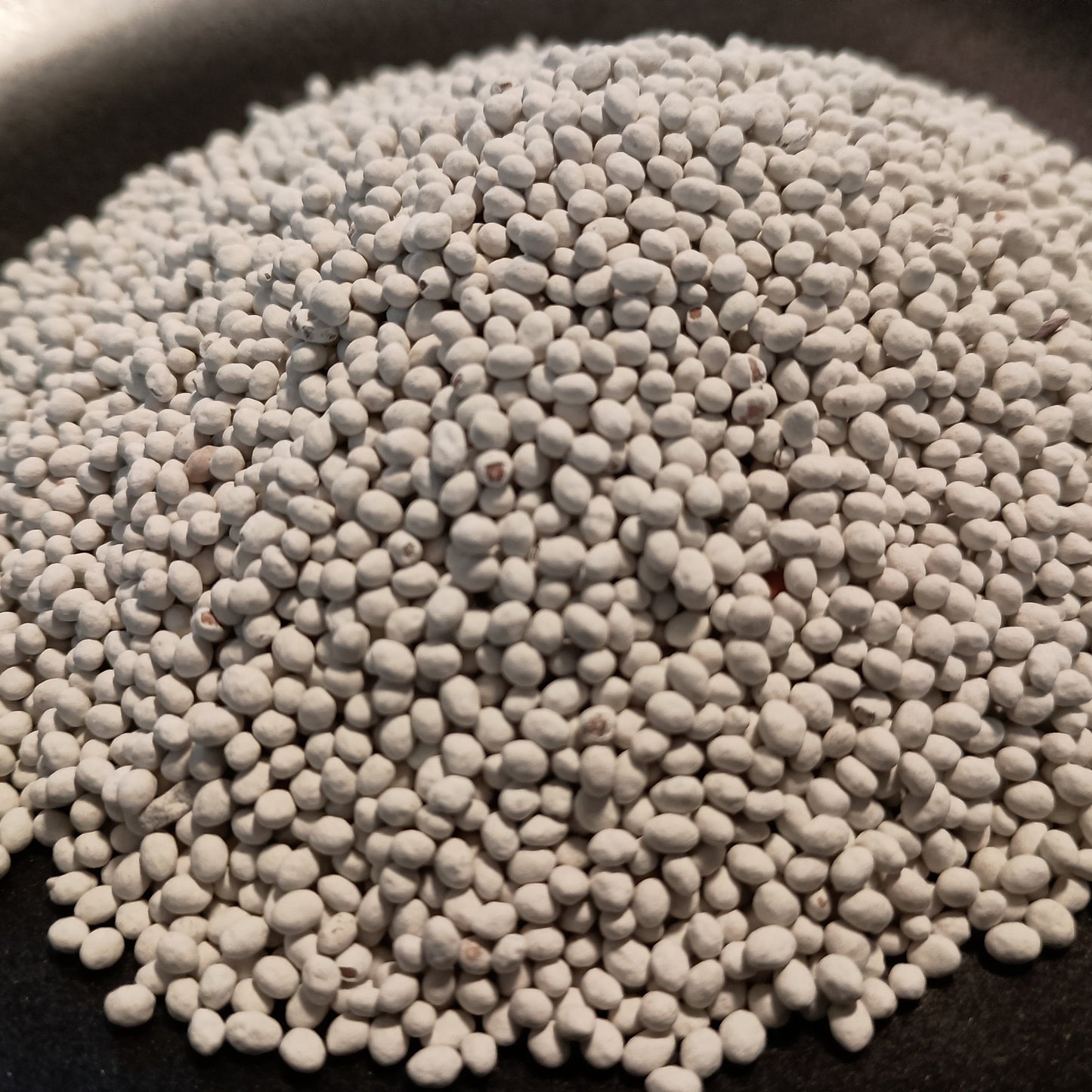 Gray granular seeds on a black background