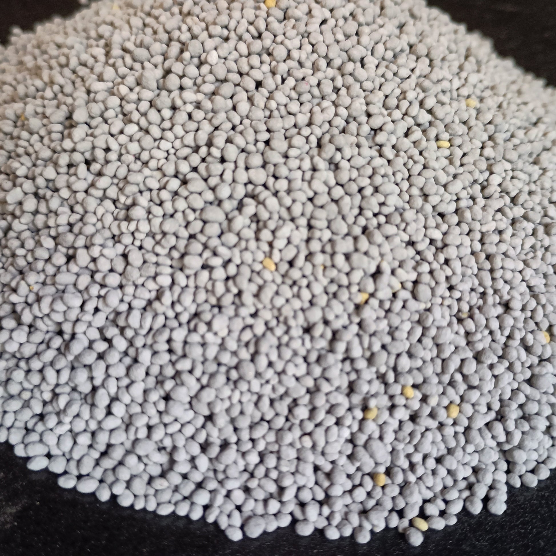 Close-up of gray granular seeds on a dark background
