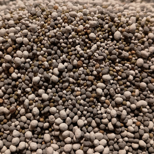 Clover Food Plot Seed Mix – Perennial Deer Forage Blend