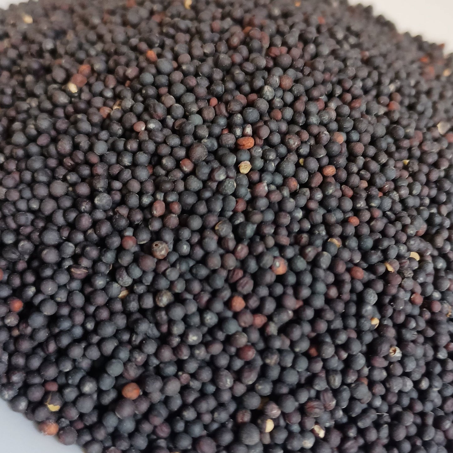 Black mustard seeds on a white plate