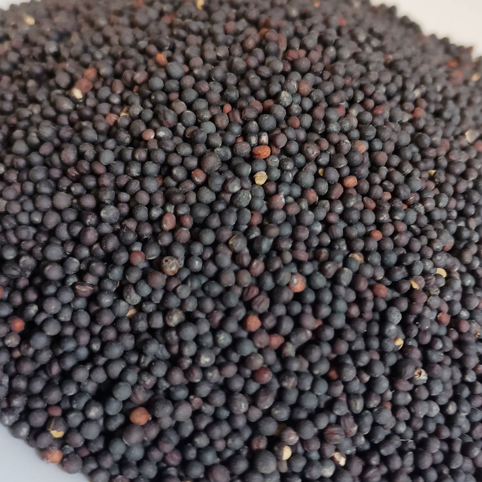 Black mustard seeds on a white plate
