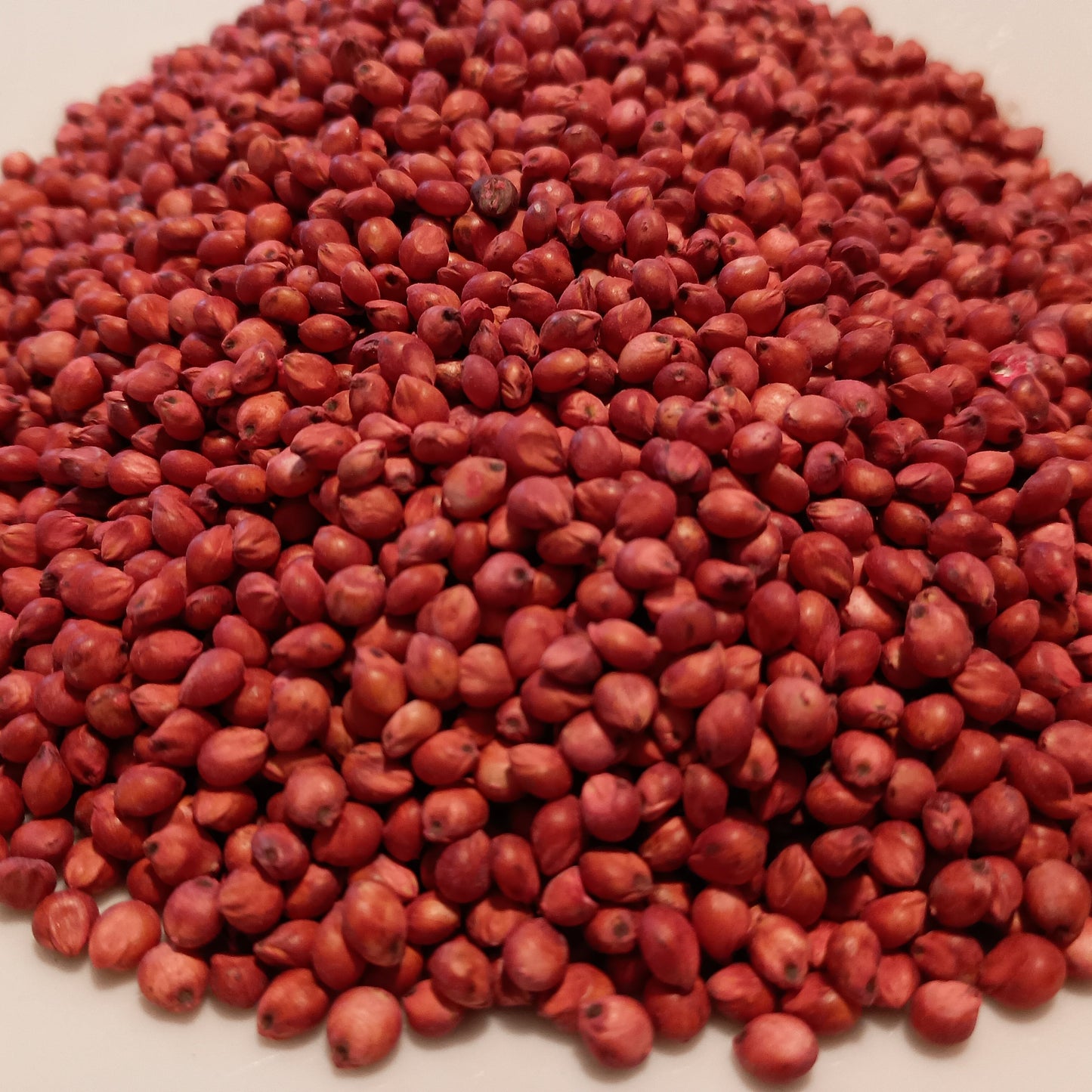 Pile of red seeds on a white plate